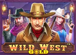 pokerbaronacasinosd: Wild West Gold
